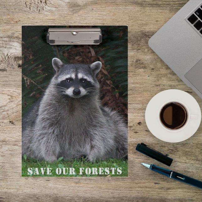 Rett Unser Waldgebiet Raccoon Wildlife Foto Klemmbrett (In Situ)