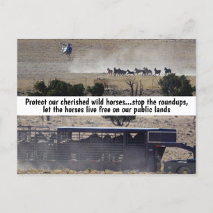 Rett unsere Kampagne "Wilde Pferde" Postkarte