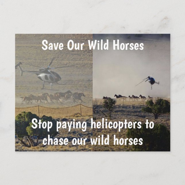 Rett unsere Kampagne "Wilde Pferde" Postkarte (Vorderseite)