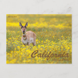 Rett unsere Parks Postkarte