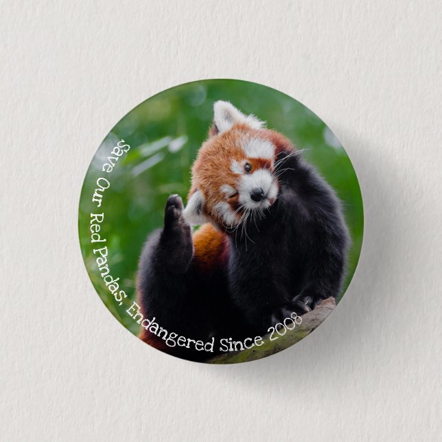 Rett unsere Red Pandas Button (Vorderseite)