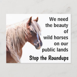 Rett unsere Wildpferde Postkarte