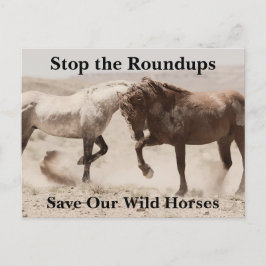 Rett unsere Wildpferde Postkarte