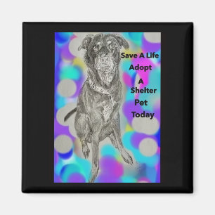 Rette ein Leben Haustier-Botschaft-Magnet Magnet