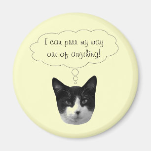 Rette mir den Weg aus jedem Magnet