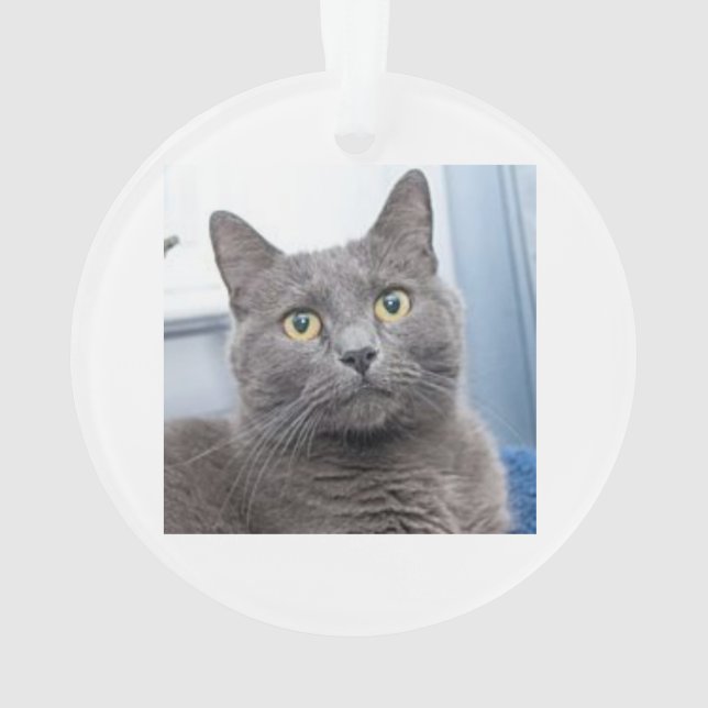 Retten der Anmut-Weihnachtsverzierung Ornament (Rückseite)
