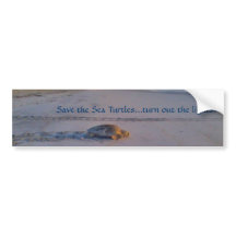 Retten Sie dem Seeschildkröte… Ausschalten die