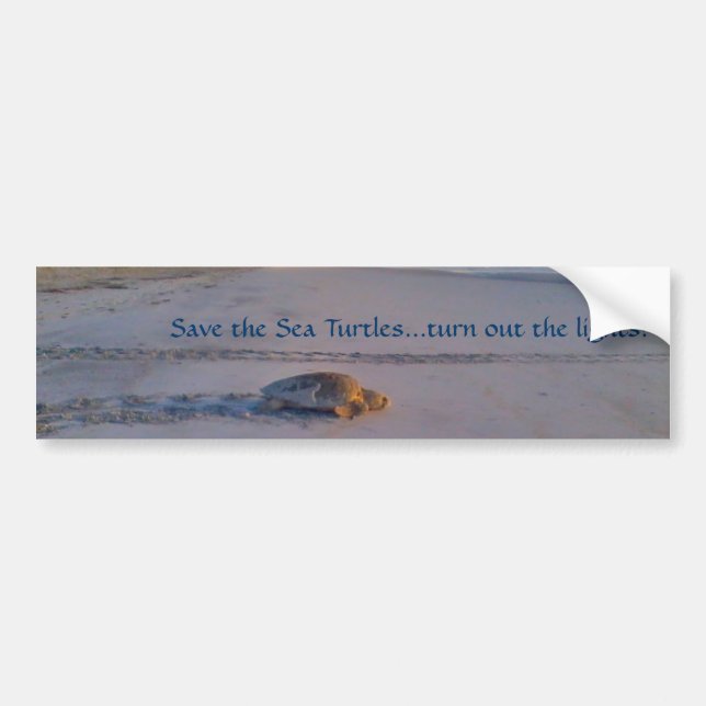 Retten Sie dem Seeschildkröte… Ausschalten die Autoaufkleber (Vorne)