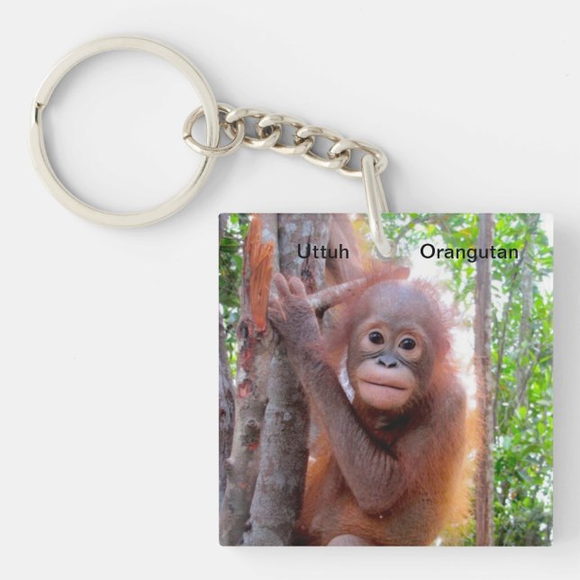 Retten Sie den Orang-Utans Baby Uttuh Schlüsselanhänger (Vorderseite)