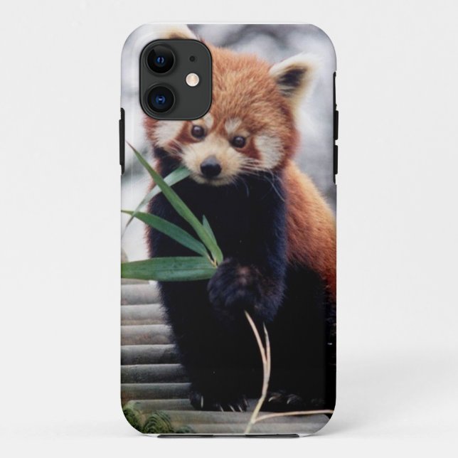 Retten Sie den roter Panda iPhone 5/5S Kasten Case-Mate iPhone Hülle (Rückseite)