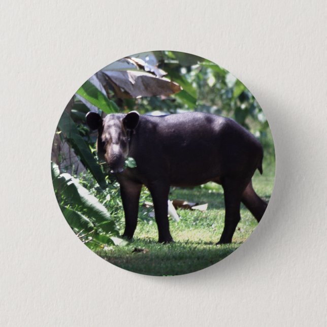 retten Sie den Tapir Button (Vorderseite)