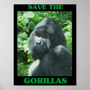 Retten Sie die Gorillas Poster
