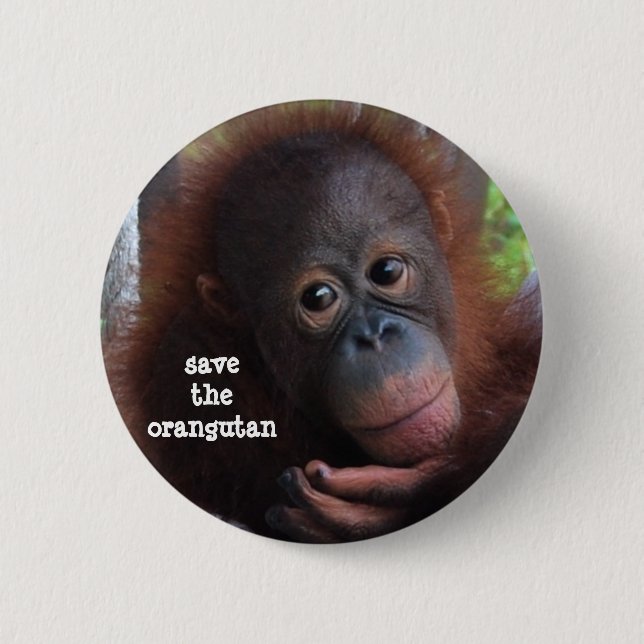 Retten Sie die Orang-Utans! Button (Vorderseite)