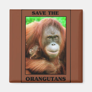 Retten Sie die Orang-Utans Magnet