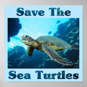 Retten Sie die Seeschildkröten Poster
