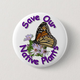 Retten Sie gebürtigen Aster-Monarch-Knopf Button