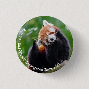 Retten Sie unsere roten Pandas Button