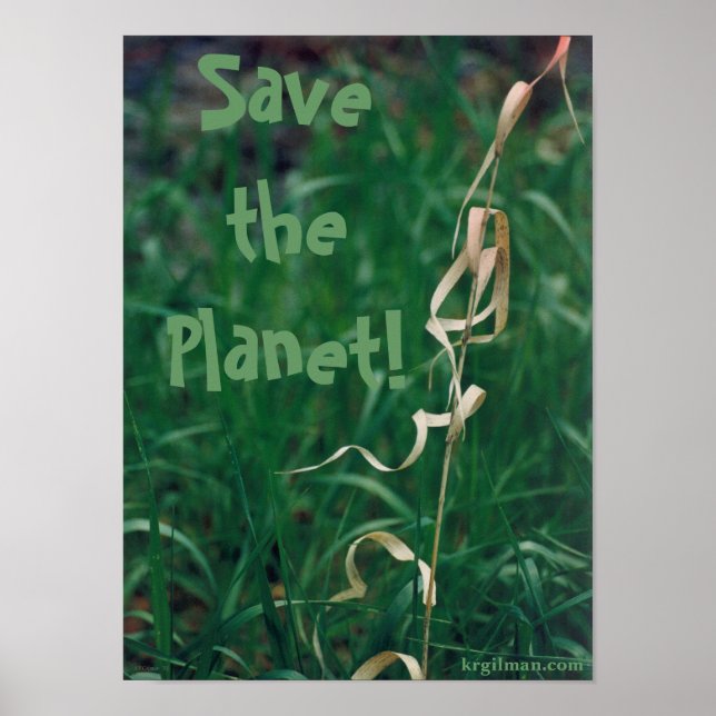 Rettet den Planeten! Poster (Vorne)