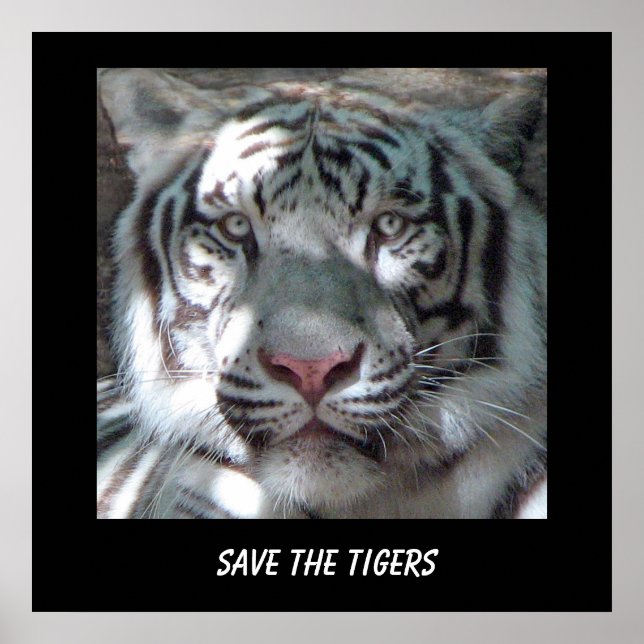 Rettet den Tiger Poster (Vorne)
