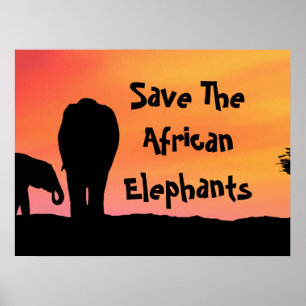 Rettet die afrikanischen Elefanten Poster