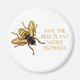 Rettet die Bienen: Pflanzen Sie einheimische Blume Magnet