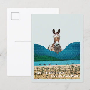 Rettet die Wildpferde, rettet die Wildnis Postkarte