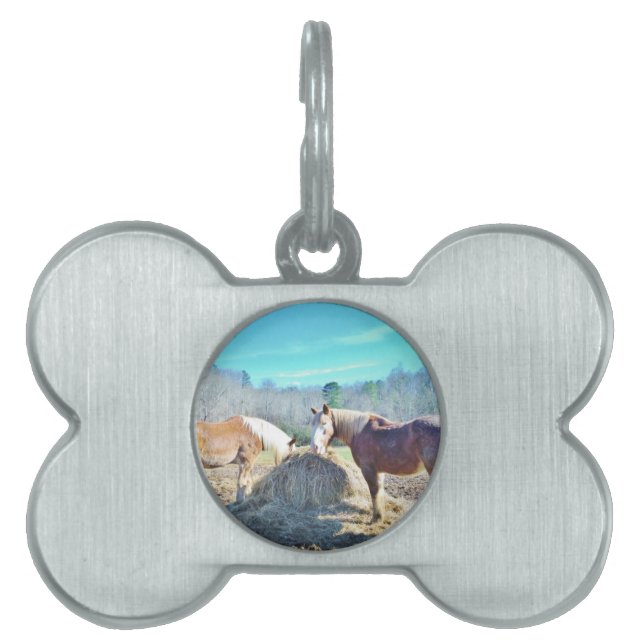 Rettet Pferde, die Heu essen Tiermarke (Vorderseite)