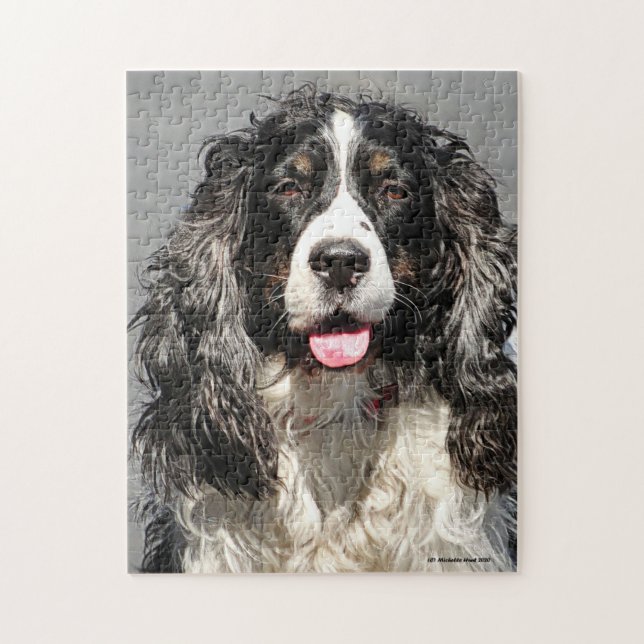 Rettet Springer Spaniel Dog Jigsaw Puzzle (Vertikal)