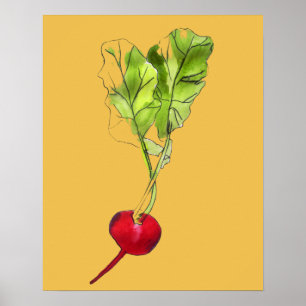 Rettichgemüseillustrations-Wasserfarbekunst Poster