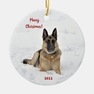 Rettung des Hundes der deutschen Schäferhunde in d Keramik Ornament