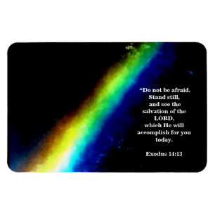 RETTUNG DES LORDS MAGNET