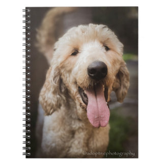 Rettung Hund lächelt Standard Poodle Notebook Notizblock