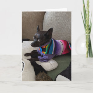 Rettung Hunde Standard, 5" x 7" geklappte Grußkart Karte