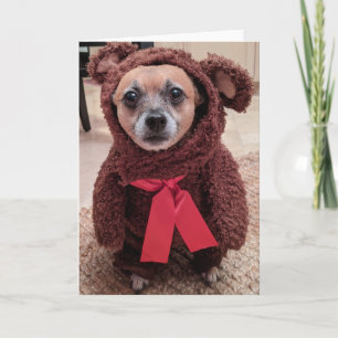 Rettung Hunde Standard, 5" x 7" geklappte Grußkart Karte