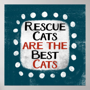 Rettung ist die beste Katzen Plakatwand Art Poster