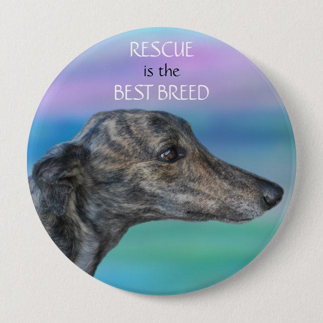 Rettung ist die beste Zucht Button (Vorderseite)