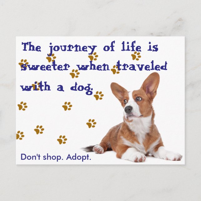 Rettung. Nicht einkaufen. Postkarte (Vorderseite)