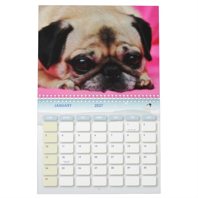 Rettung verfolgt Kalender II (Jan 2027)