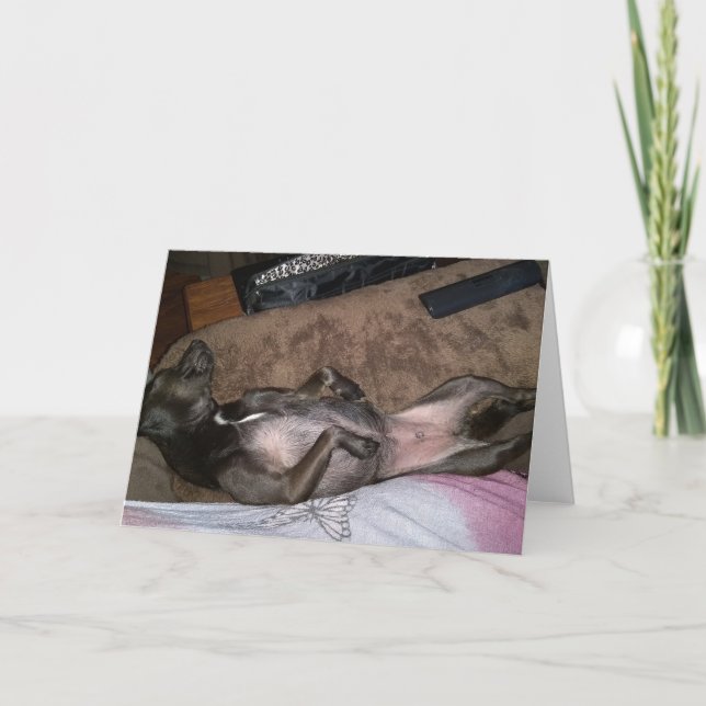 Rettung von Hunden mit geklappter Grußkarte Karte (Vorderseite)