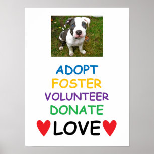 Rettungs-Hundeplakat, adoptieren Liebe Poster