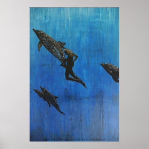 Rettungsdelphin Poster