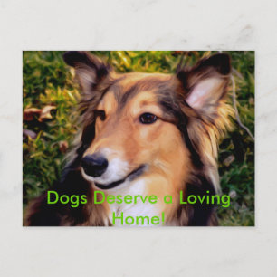 Rettungshund Postkarte
