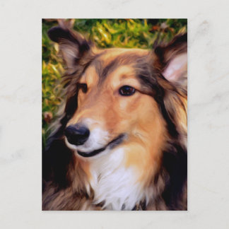 Rettungshund Postkarte