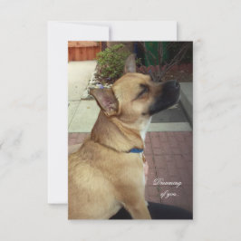 Rettungshunde 3,5" x 5" Flat Dankeschön Karte