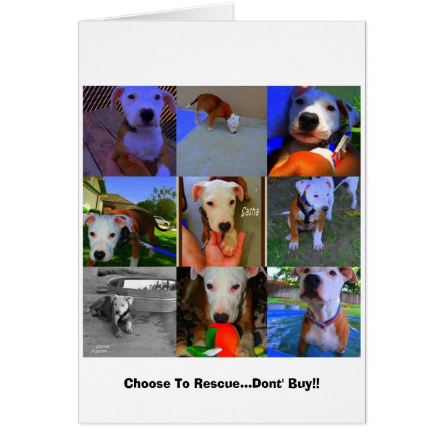 Rettungskarten. (Vorne)