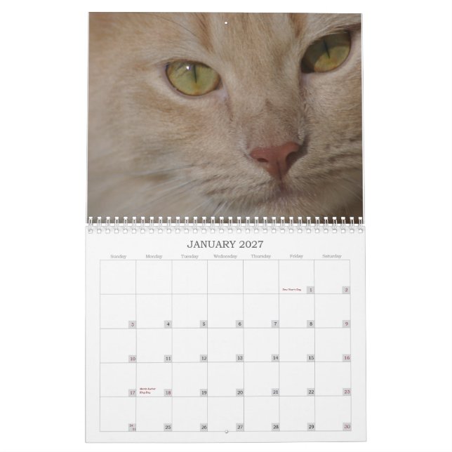 Rettungstiere Kalender (Jan 2027)