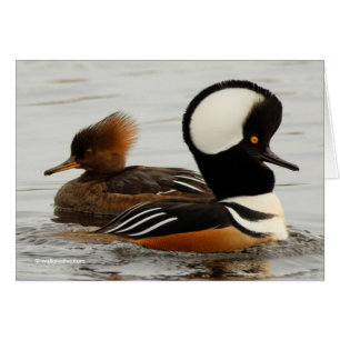 Réunion de faiseurs de fusil à capuchon