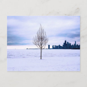 rêve blanc - hiver à Chicago, carte postale