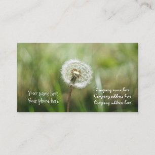 rêve le carte de visite