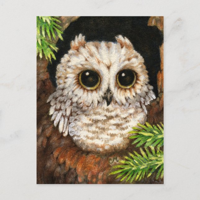 Réveillez-vous, petit hibou - carte postale (Devant)